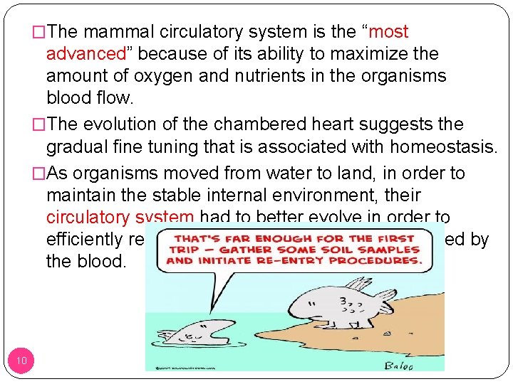 �The mammal circulatory system is the “most advanced” because of its ability to maximize �The mammal circulatory system is the “most advanced” because of its ability to maximize