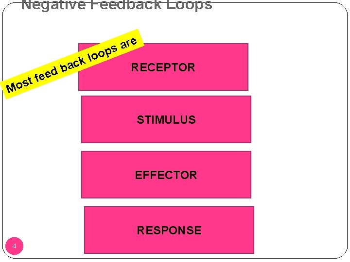 Negative Feedback Loops re a s op o l k ac b d M