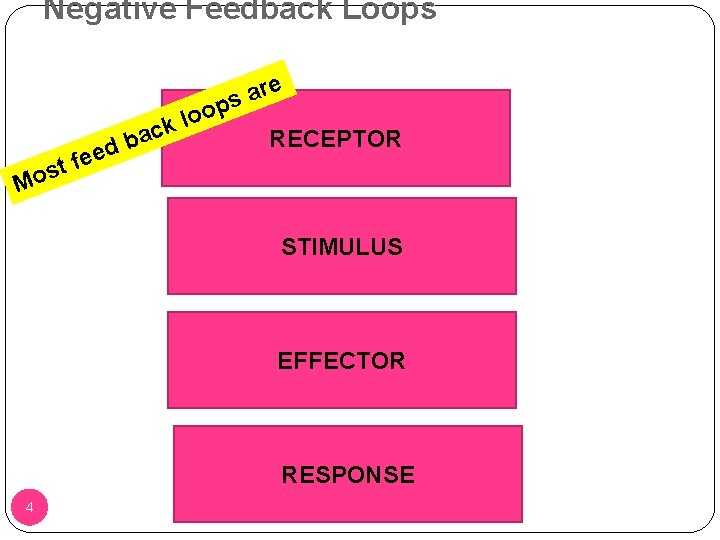 Negative Feedback Loops re a s op o l k ac b d M Negative Feedback Loops re a s op o l k ac b d M