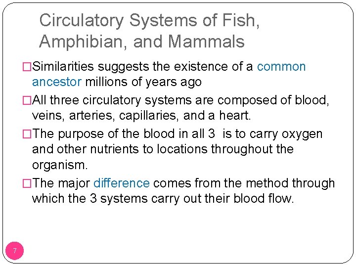 Circulatory Systems of Fish, Amphibian, and Mammals �Similarities suggests the existence of a common Circulatory Systems of Fish, Amphibian, and Mammals �Similarities suggests the existence of a common