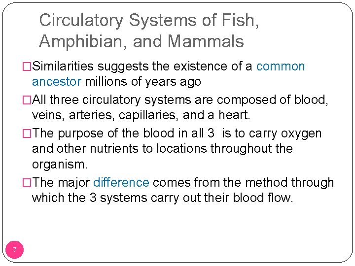 Circulatory Systems of Fish, Amphibian, and Mammals �Similarities suggests the existence of a common