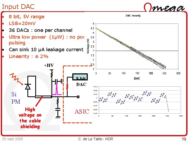 Input DAC • • 8 bit, 5 V range LSB=20 m. V 36 DACs