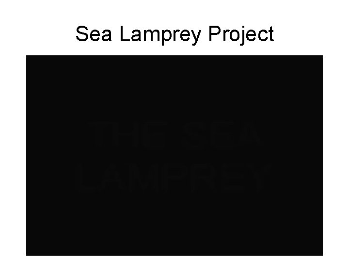 Sea Lamprey Project 