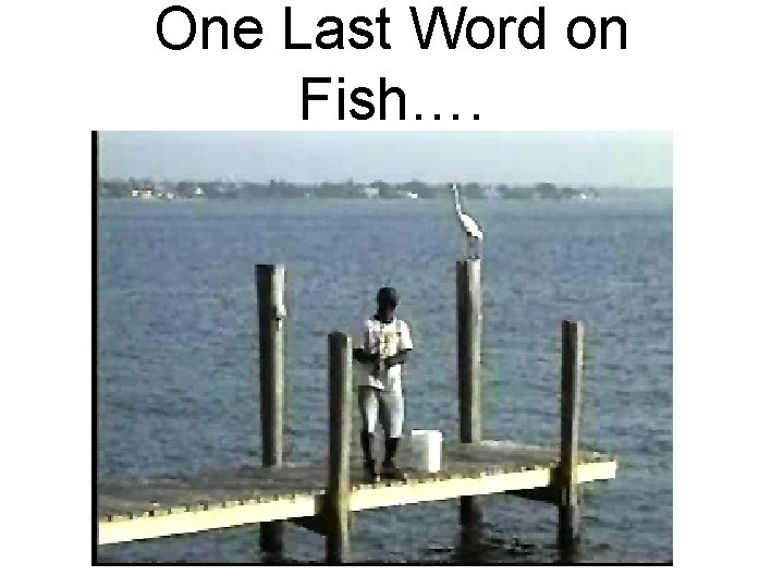 One Last Word on Fish…. 