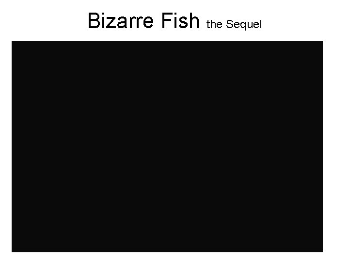 Bizarre Fish the Sequel 