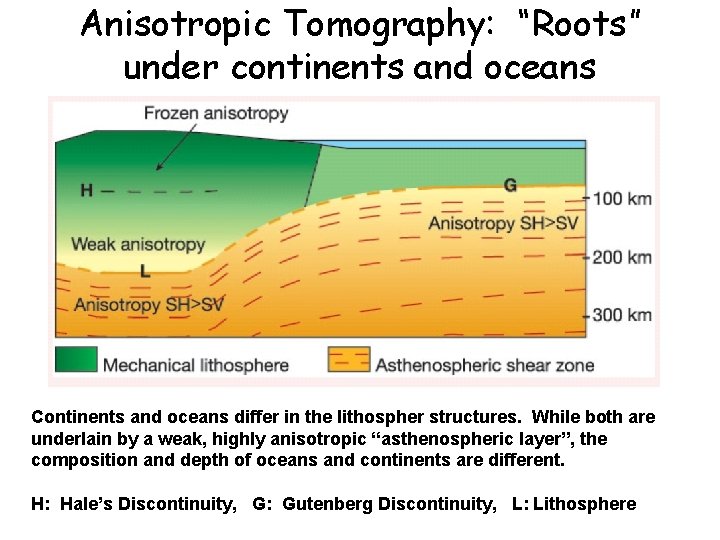 Anisotropic Tomography: “Roots” under continents and oceans Continents and oceans differ in the lithospher