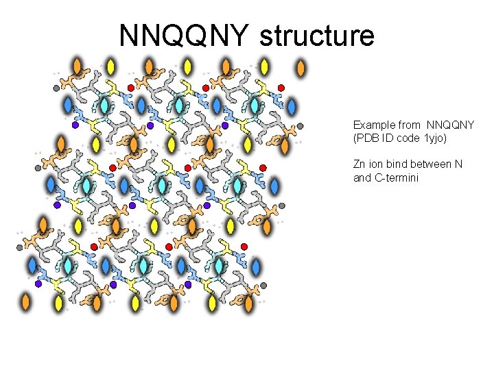 NNQQNY structure Example from NNQQNY (PDB ID code 1 yjo) Zn ion bind between