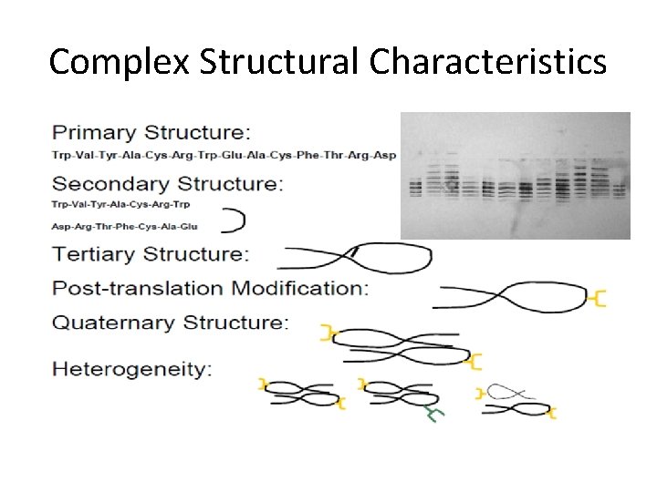 Complex Structural Characteristics 