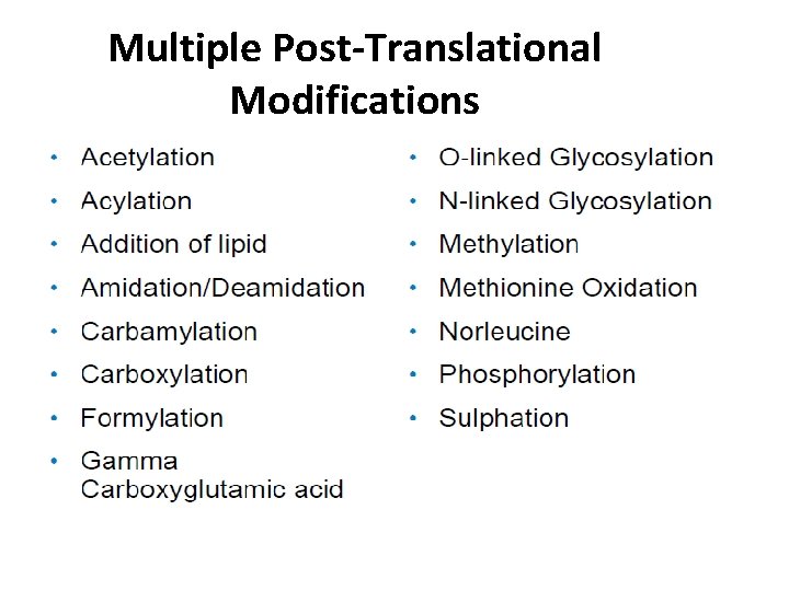 Multiple Post-Translational Modifications 