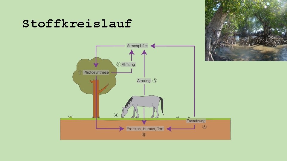 Stoffkreislauf 