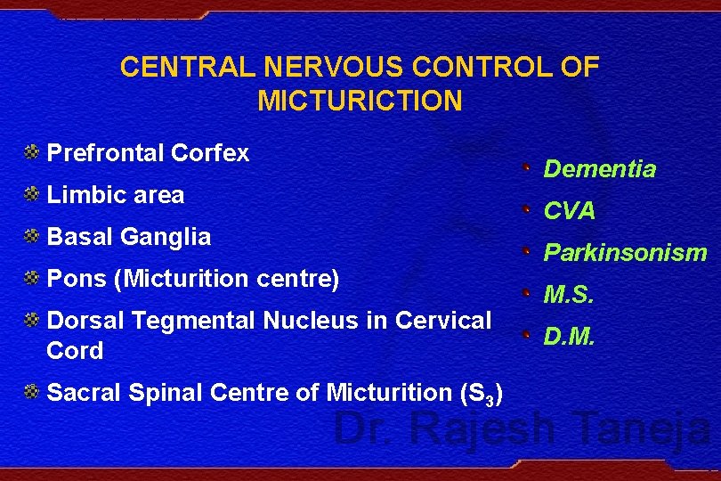 CENTRAL NERVOUS CONTROL OF MICTURICTION Prefrontal Corfex Limbic area Basal Ganglia Pons (Micturition centre)