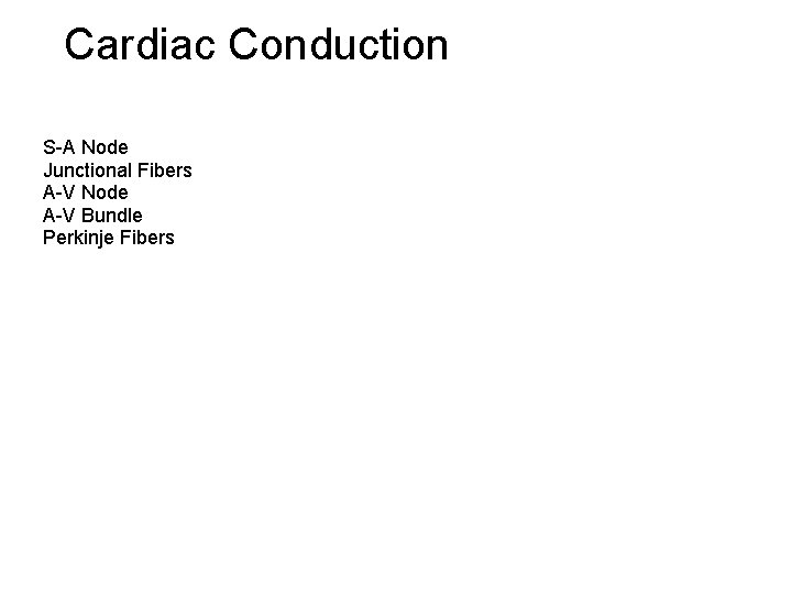 Cardiac Conduction S-A Node Junctional Fibers A-V Node A-V Bundle Perkinje Fibers  Cardiac Conduction S-A Node Junctional Fibers A-V Node A-V Bundle Perkinje Fibers