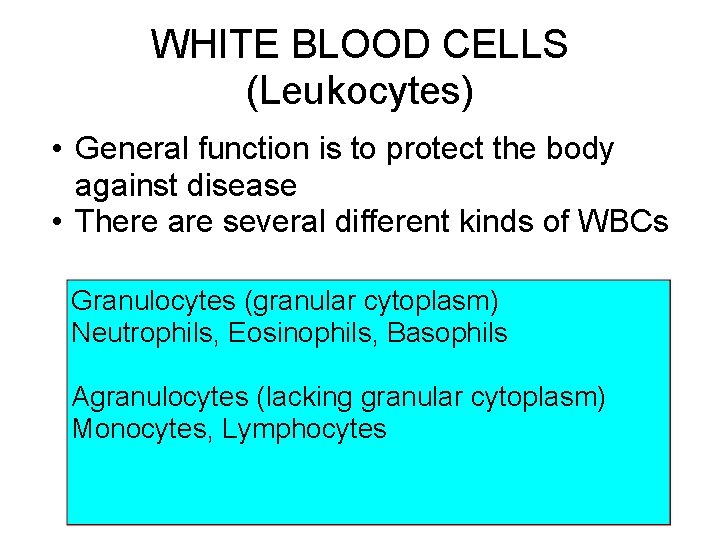 WHITE BLOOD CELLS (Leukocytes) • General function is to protect the body against disease WHITE BLOOD CELLS (Leukocytes) • General function is to protect the body against disease