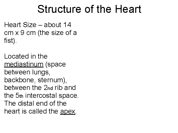 Structure of the Heart Size – about 14 cm x 9 cm (the size Structure of the Heart Size – about 14 cm x 9 cm (the size
