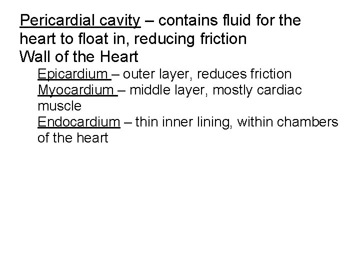Pericardial cavity – contains fluid for the heart to float in, reducing friction Wall Pericardial cavity – contains fluid for the heart to float in, reducing friction Wall