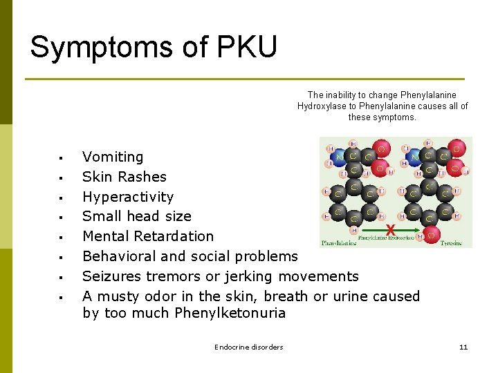 Symptoms of PKU The inability to change Phenylalanine Hydroxylase to Phenylalanine causes all of