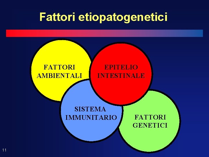 Fattori etiopatogenetici FATTORI AMBIENTALI EPITELIO INTESTINALE SISTEMA IMMUNITARIO 11 FATTORI GENETICI 