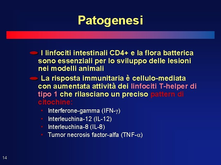 Patogenesi I linfociti intestinali CD 4+ e la flora batterica sono essenziali per lo