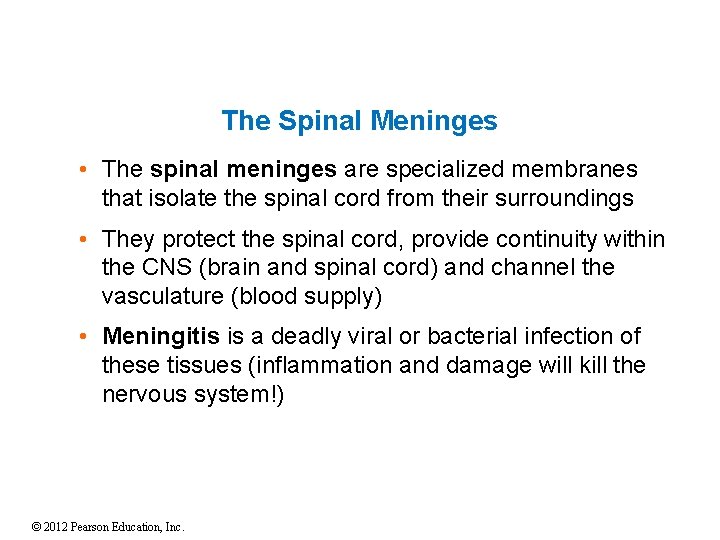 The Spinal Meninges • The spinal meninges are specialized membranes that isolate the spinal The Spinal Meninges • The spinal meninges are specialized membranes that isolate the spinal
