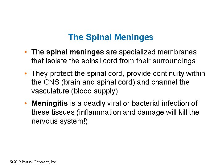 The Spinal Meninges • The spinal meninges are specialized membranes that isolate the spinal