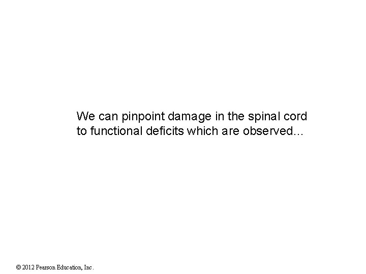 We can pinpoint damage in the spinal cord to functional deficits which are observed… We can pinpoint damage in the spinal cord to functional deficits which are observed…
