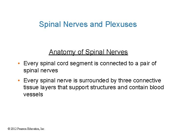 Spinal Nerves and Plexuses Anatomy of Spinal Nerves • Every spinal cord segment is