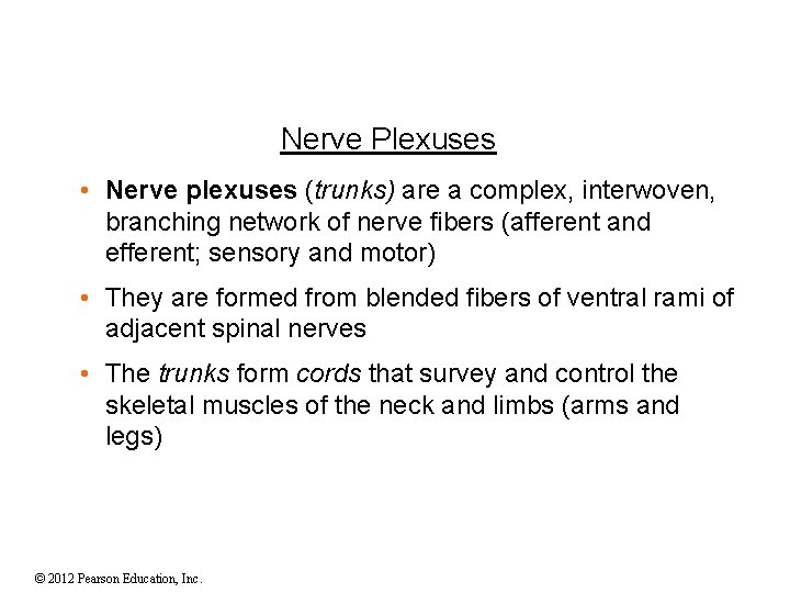 Nerve Plexuses • Nerve plexuses (trunks) are a complex, interwoven, branching network of nerve Nerve Plexuses • Nerve plexuses (trunks) are a complex, interwoven, branching network of nerve