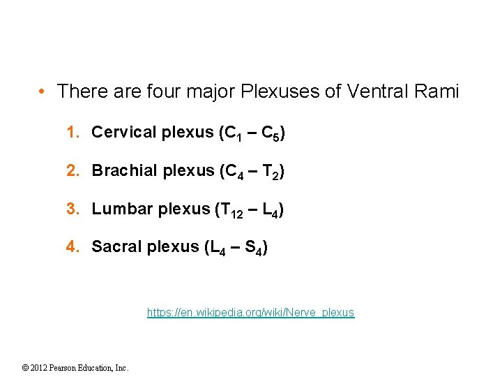 • There are four major Plexuses of Ventral Rami 1. Cervical plexus (C • There are four major Plexuses of Ventral Rami 1. Cervical plexus (C