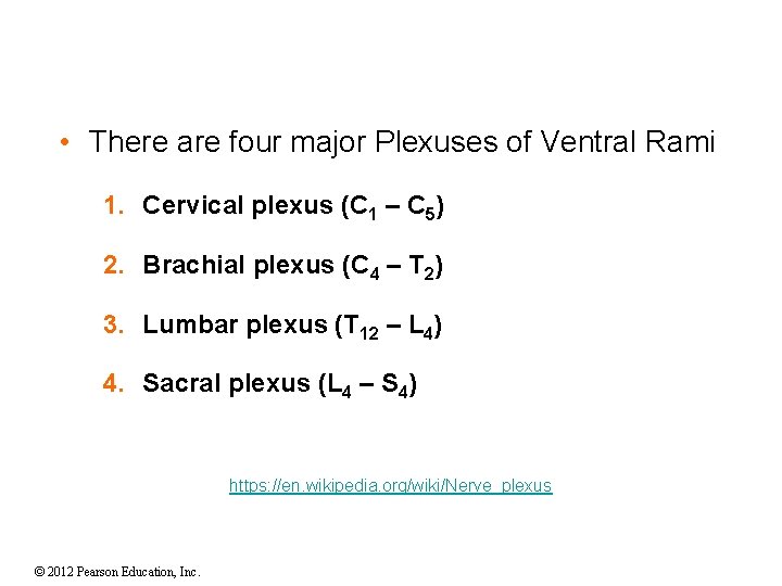  • There are four major Plexuses of Ventral Rami 1. Cervical plexus (C