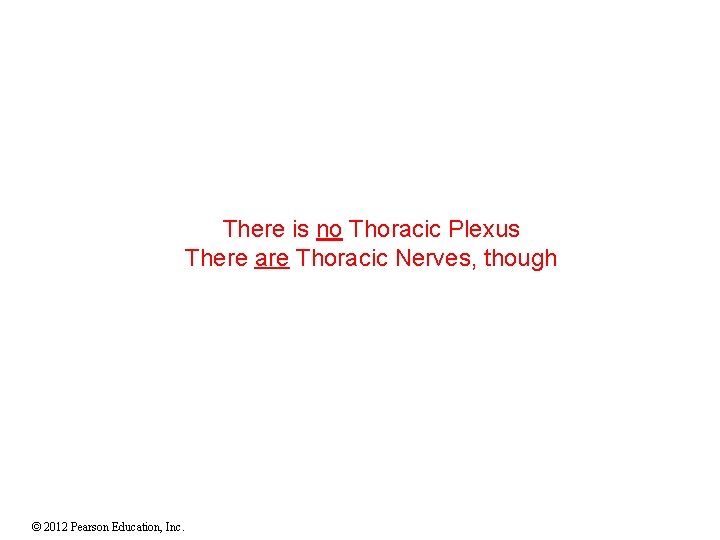 There is no Thoracic Plexus There are Thoracic Nerves, though © 2012 Pearson Education,