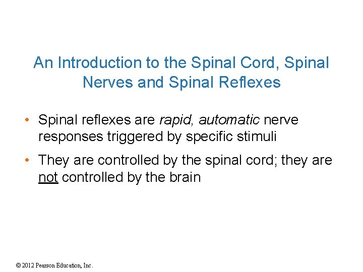 An Introduction to the Spinal Cord, Spinal Nerves and Spinal Reflexes • Spinal reflexes An Introduction to the Spinal Cord, Spinal Nerves and Spinal Reflexes • Spinal reflexes