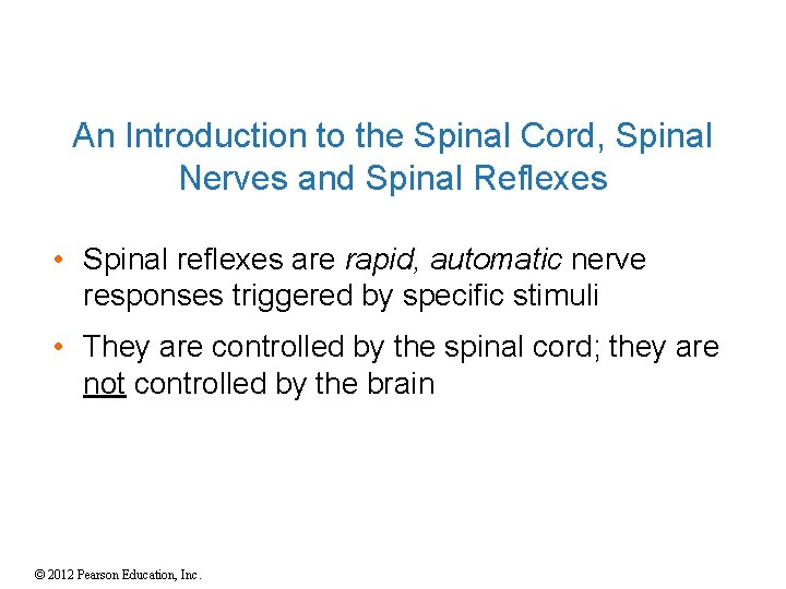 An Introduction to the Spinal Cord, Spinal Nerves and Spinal Reflexes • Spinal reflexes