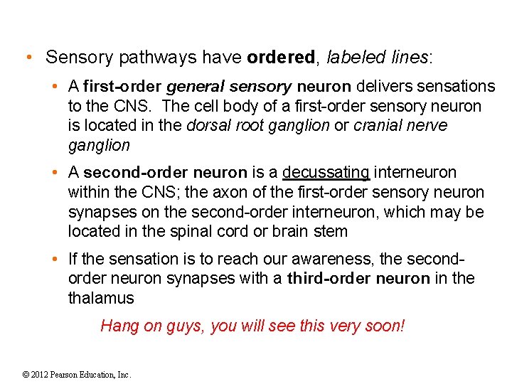  • Sensory pathways have ordered, labeled lines: • A first-order general sensory neuron