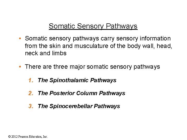 Somatic Sensory Pathways • Somatic sensory pathways carry sensory information from the skin and