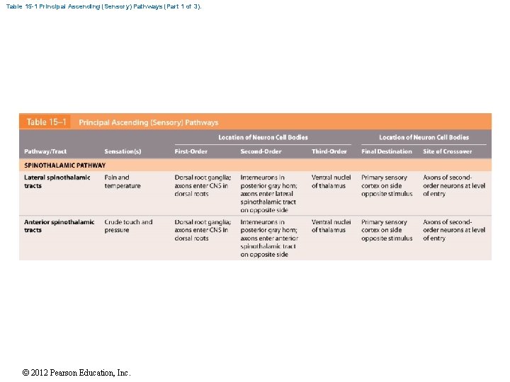 Table 15 -1 Principal Ascending (Sensory) Pathways (Part 1 of 3). © 2012 Pearson Table 15 -1 Principal Ascending (Sensory) Pathways (Part 1 of 3). © 2012 Pearson