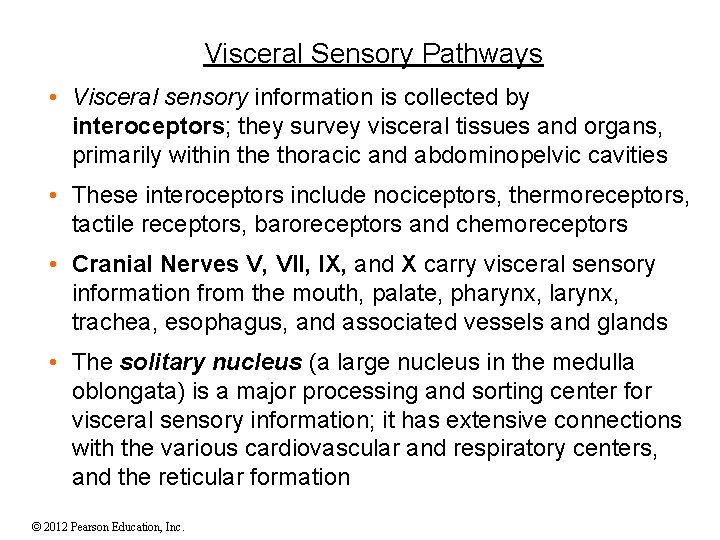 Visceral Sensory Pathways • Visceral sensory information is collected by interoceptors; they survey visceral