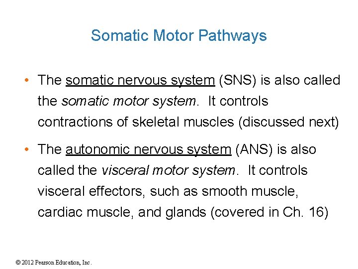 Somatic Motor Pathways • The somatic nervous system (SNS) is also called the somatic