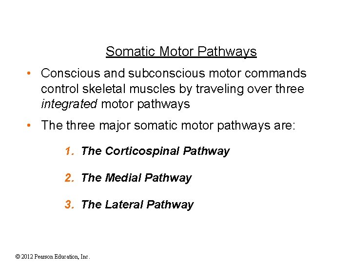 Somatic Motor Pathways • Conscious and subconscious motor commands control skeletal muscles by traveling