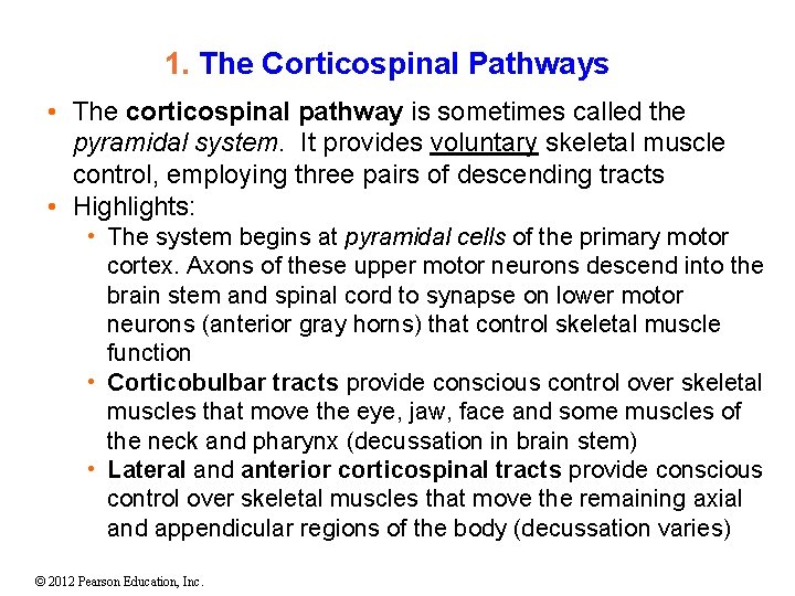 1. The Corticospinal Pathways • The corticospinal pathway is sometimes called the pyramidal system. 1. The Corticospinal Pathways • The corticospinal pathway is sometimes called the pyramidal system.