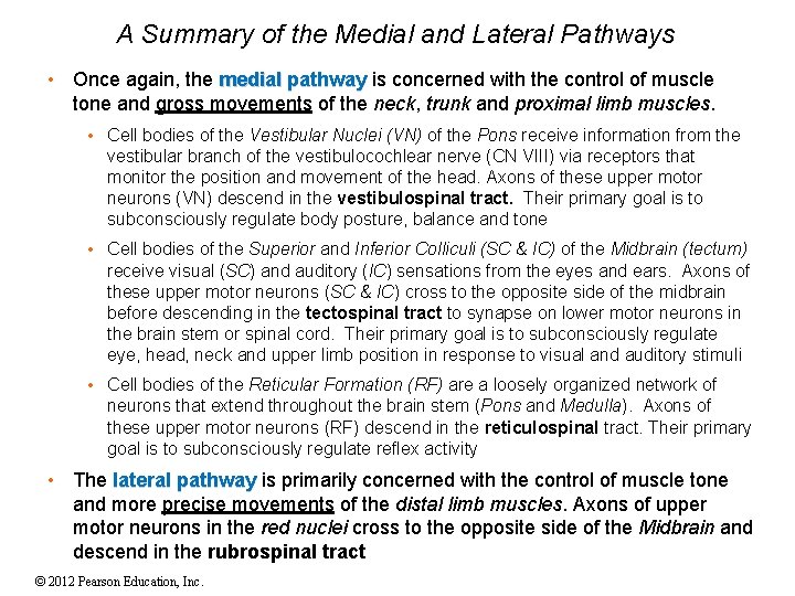 A Summary of the Medial and Lateral Pathways • Once again, the medial pathway