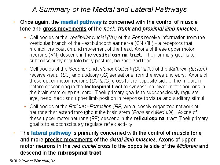 A Summary of the Medial and Lateral Pathways • Once again, the medial pathway A Summary of the Medial and Lateral Pathways • Once again, the medial pathway
