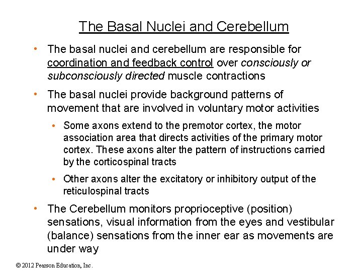 The Basal Nuclei and Cerebellum • The basal nuclei and cerebellum are responsible for The Basal Nuclei and Cerebellum • The basal nuclei and cerebellum are responsible for