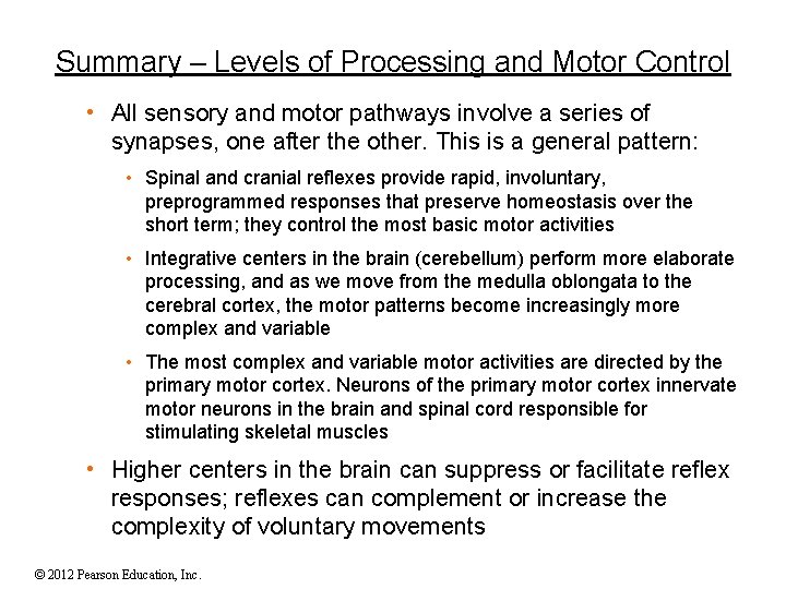 Summary – Levels of Processing and Motor Control • All sensory and motor pathways Summary – Levels of Processing and Motor Control • All sensory and motor pathways