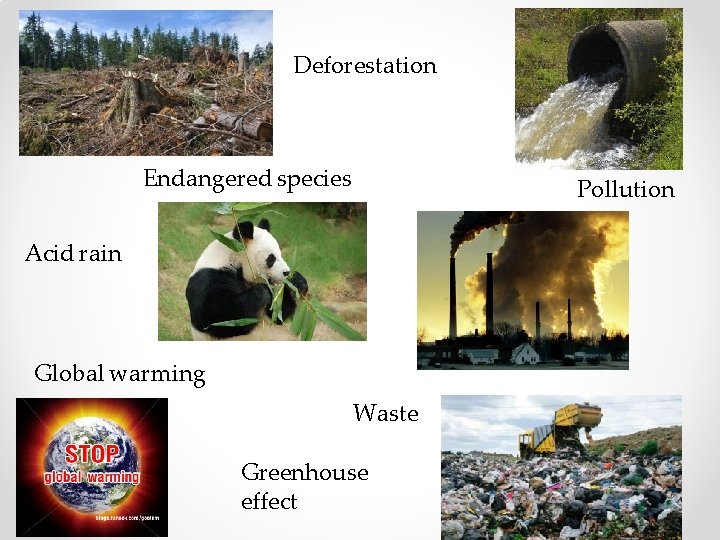 Deforestation Endangered species Pollution Acid rain Global warming Waste Greenhouse effect 