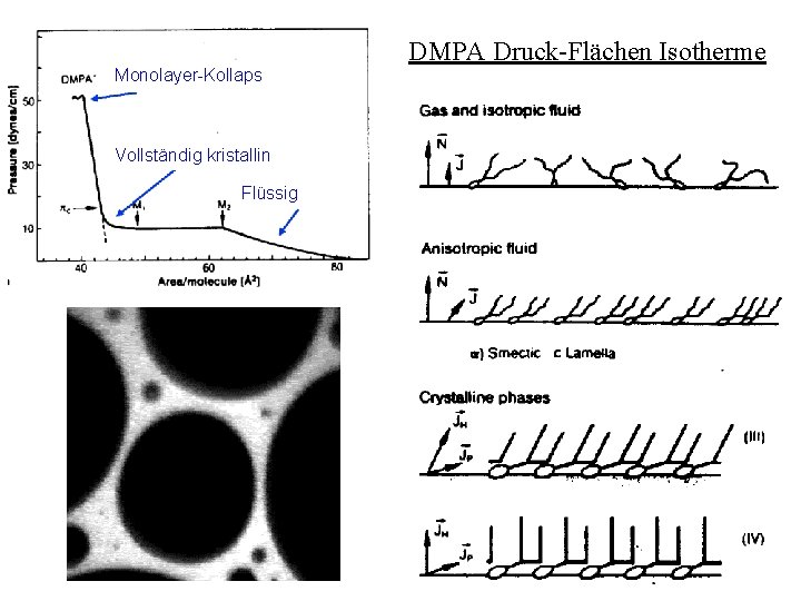 Monolayer-Kollaps DMPA Druck-Flächen Isotherme Vollständig kristallin Flüssig Gaub 38 