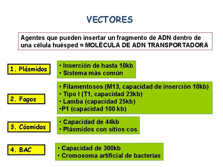 VECTORES Agentes que pueden insertar un fragmento de ADN dentro de una célula huésped