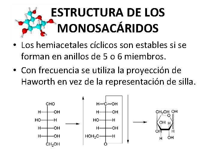ESTRUCTURA DE LOS MONOSACÁRIDOS • Los hemiacetales cíclicos son estables si se forman en