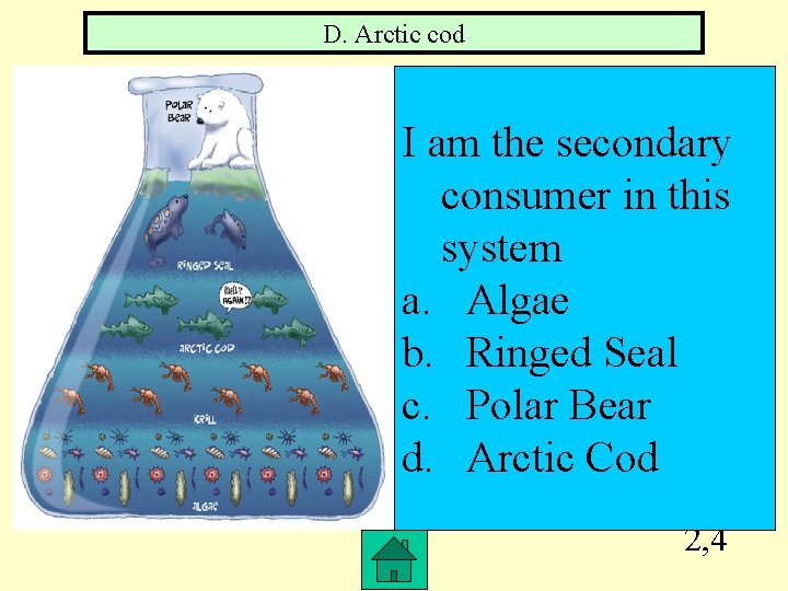 D. Arctic cod I am the secondary consumer in this system a. Algae b.