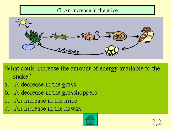 C. An increase in the mice What could increase the amount of energy available