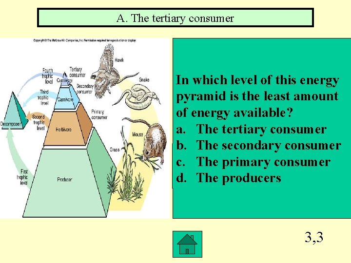 A. The tertiary consumer In which level of this energy pyramid is the least